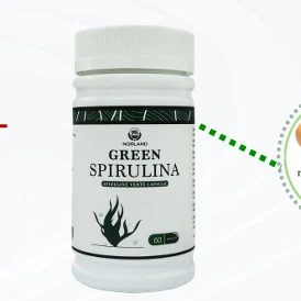 GREEN SPIRULINA CAPSULES